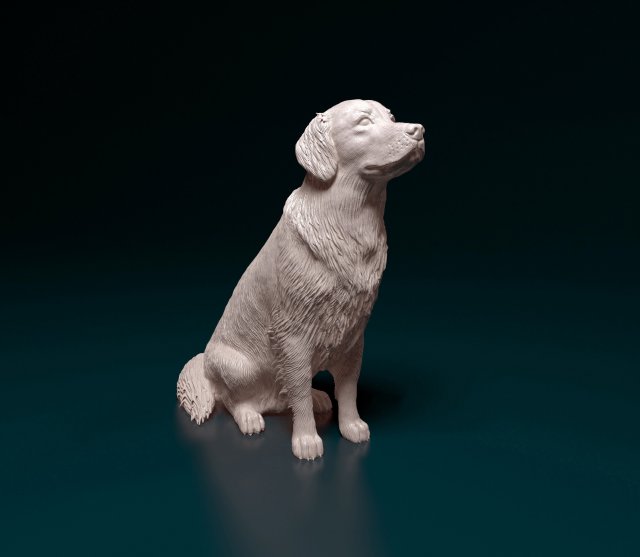 Golden Retriever 3D Print Model .c4d .max .obj .3ds .fbx .stl .blend