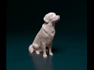 Golden Retriever 3D Print Model
