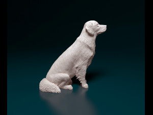 Golden Retriever 3D Print Model