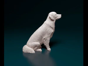 Golden Retriever 3D Print Model