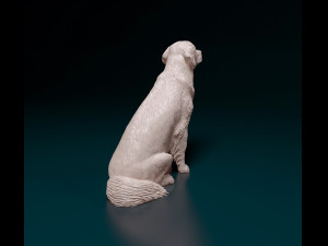 Golden Retriever 3D Print Model