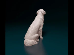 Golden Retriever 3D Print Model