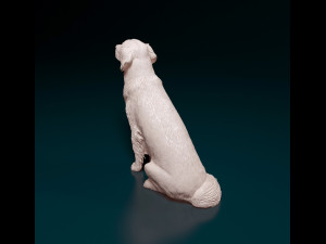 Golden Retriever 3D Print Model
