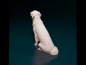 Golden Retriever 3D Print Model