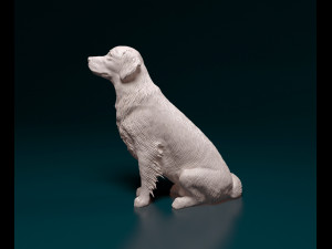 Golden Retriever 3D Print Model