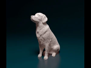 Golden Retriever 3D Print Model