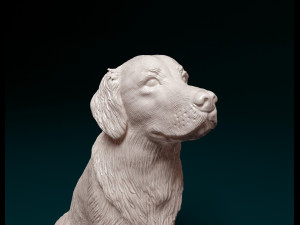 Golden Retriever 3D Print Model