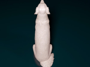 Golden Retriever 3D Print Model