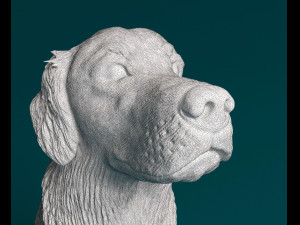 Golden Retriever 3D Print Model