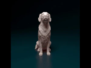Golden Retriever 3D Print Model