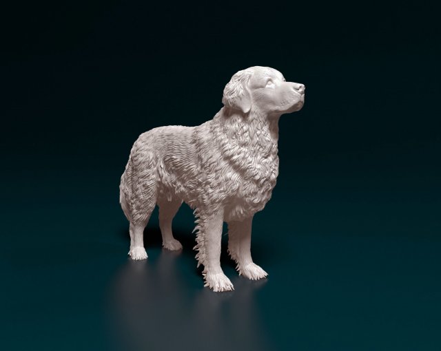 Golden Retriever 2 3D Print Model .c4d .max .obj .3ds .fbx .stl .blend 