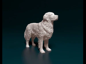 Golden Retriever 2 3D Print Model