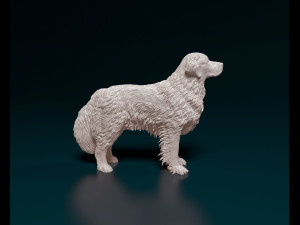 Golden Retriever 2 3D Print Model