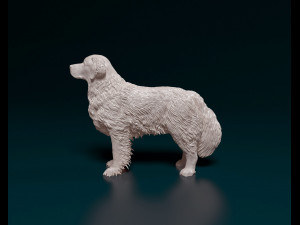Golden Retriever 2 3D Print Model