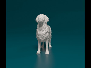 Golden Retriever 2 3D Print Model