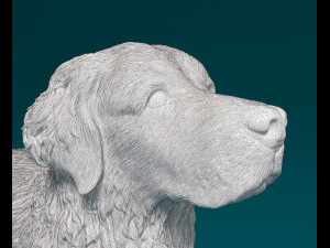 Golden Retriever 2 3D Print Model