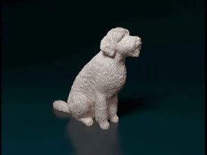 Goldendoodle 3D Принт Модель