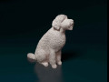 Goldendoodle 3D प्रिंट मॉडल