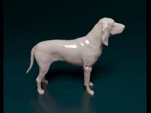 Grand Gascon Saintogeois dog 3D Print Model