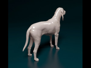 Grand Gascon Saintogeois dog 3D प्रिंट मॉडल