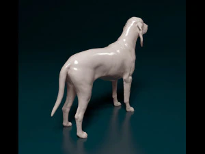 Grand Gascon Saintogeois dog 3D Print Model