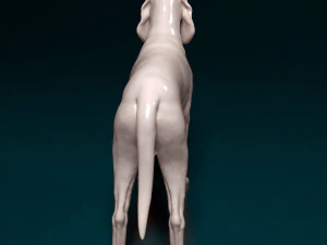 Grand Gascon Saintogeois dog 3D Print Model
