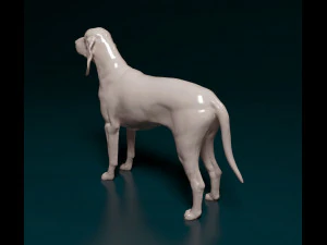 Grand Gascon Saintogeois dog 3D Print Model
