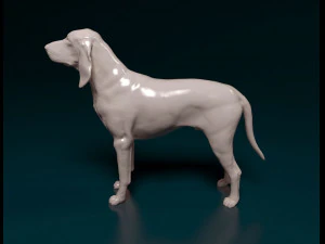 Grand Gascon Saintogeois dog 3D Print Model