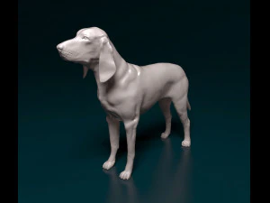 Grand Gascon Saintogeois dog 3D Print Model