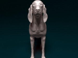 Grand Gascon Saintogeois dog 3D प्रिंट मॉडल