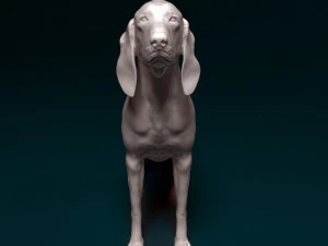 Grand Gascon Saintogeois dog 3D Print Model
