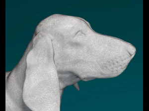 Grand Gascon Saintogeois dog 3D Print Model