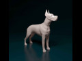 Great Dane dog 3D प्रिंट मॉडल