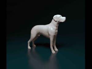 Great Dane dog 3Dプリントモデル