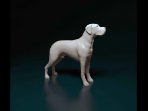 Great Dane dog 3D Print Model