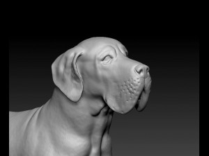 Great Dane dog 3Dプリントモデル