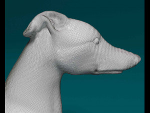 Greyhound lying down 3D Принт Модель