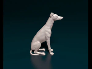 Greyhound sitting 3D Print Model
