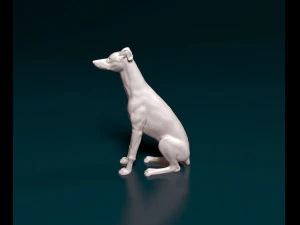 Greyhound sitting 3D Print Model