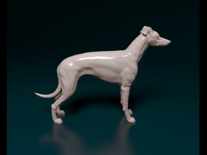 Greyhound dog Modelo de impresión 3D