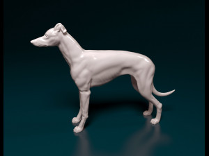 Greyhound dog 3D Print Model