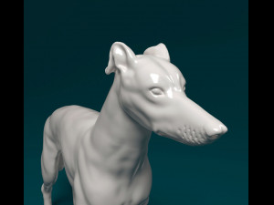 Greyhound dog 3D Print Model