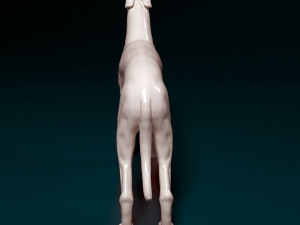 Greyhound dog 3D Print Model
