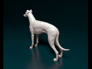 Greyhound dog 3D Print Model