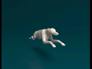 Greyhound 2 3D Print Model