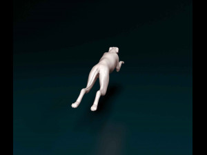 Greyhound 2 3D Print Model