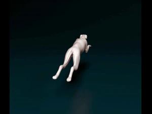 Greyhound 2 3D Print Model