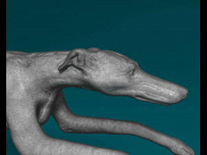 Greyhound 2 3D Print Model