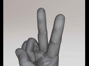 Hand Peace 3D Print Model