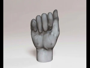 Hand A 3D Print Model